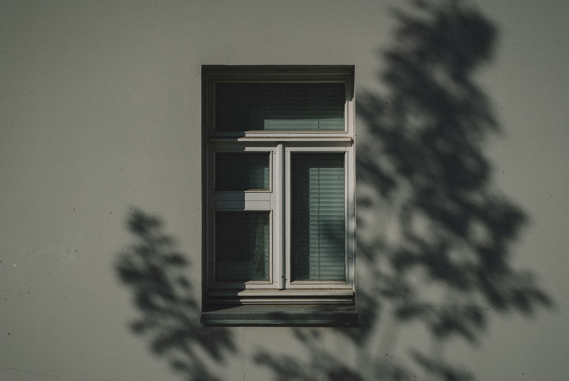 white wooden framed glass window